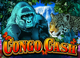 Slot raja hoki slot